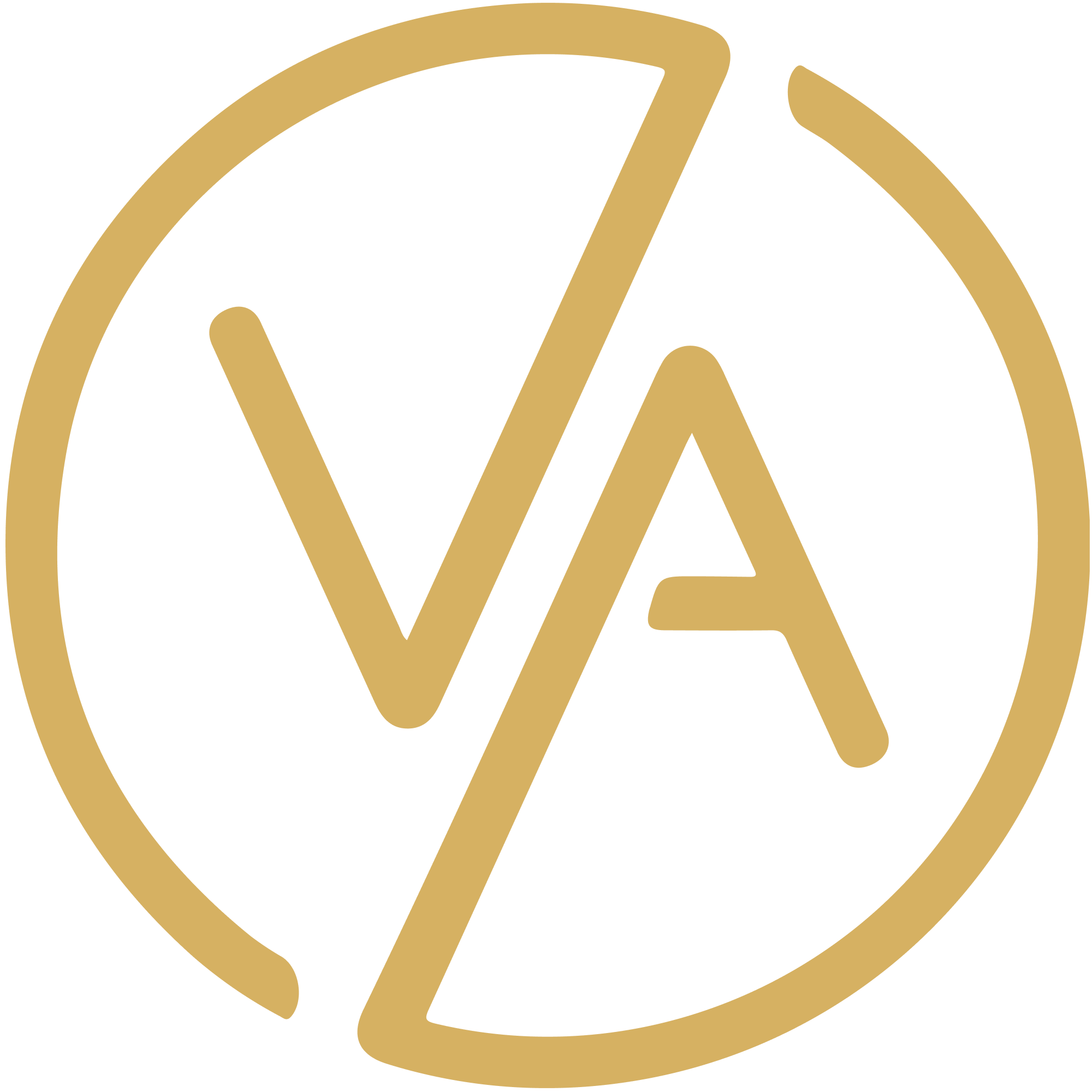 Vasky logo